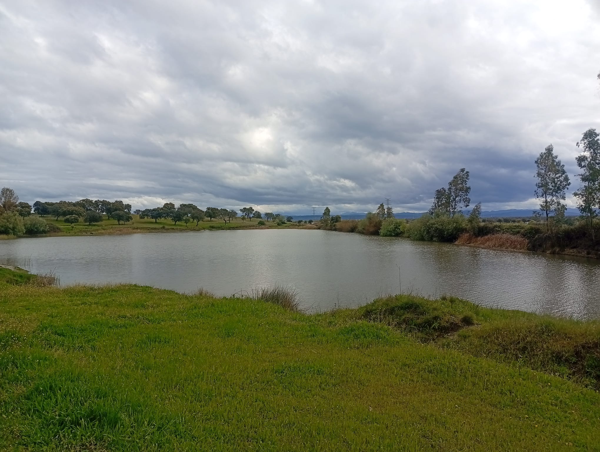 IMG-20250715-WA0065